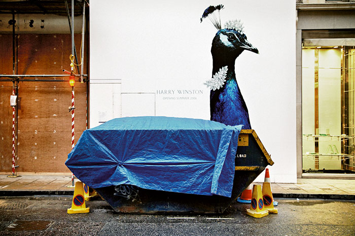 191 Perfectly Timed Street Photography Shots That Show Timing Is Everything