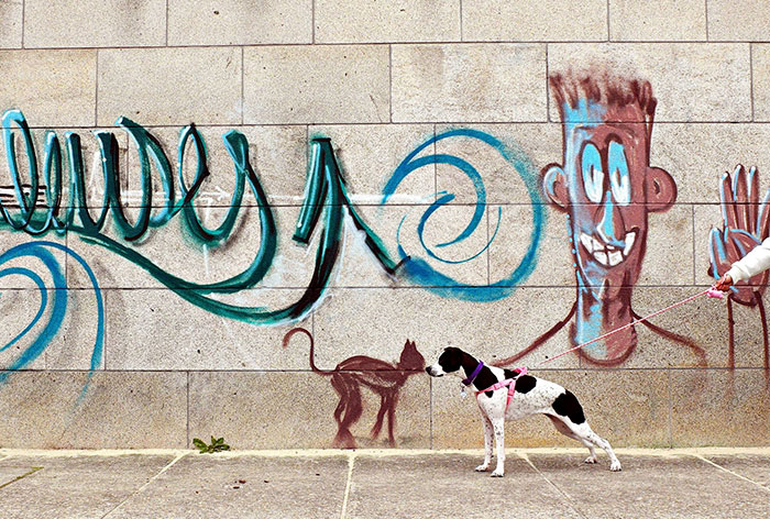 191 Perfectly Timed Street Photography Shots That Show Timing Is Everything