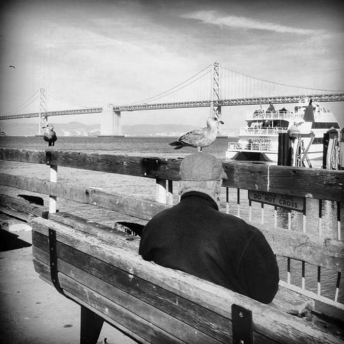 191 Perfectly Timed Street Photography Shots That Show Timing Is Everything