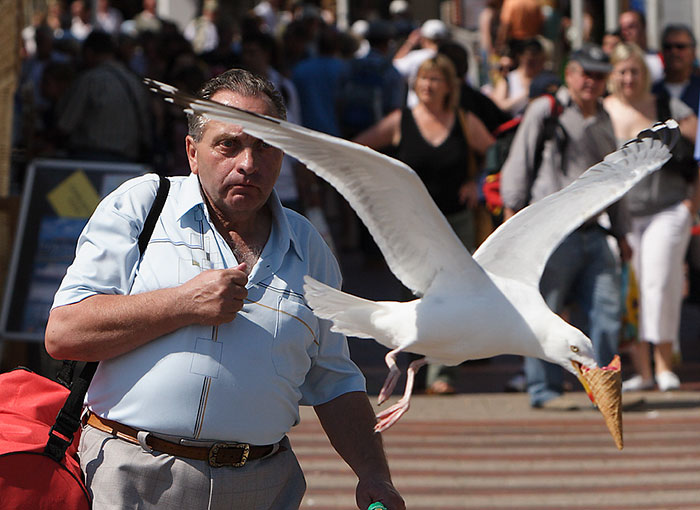 191 Perfectly Timed Street Photography Shots That Show Timing Is Everything