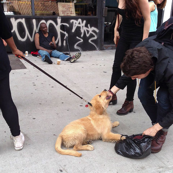191 Perfectly Timed Street Photography Shots That Show Timing Is Everything