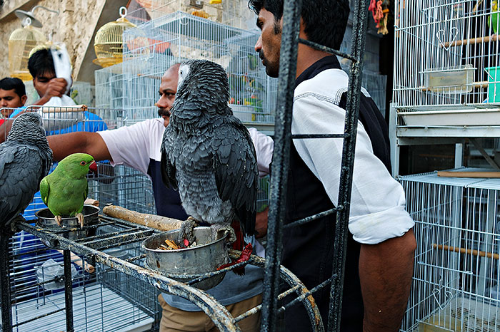 191 Perfectly Timed Street Photography Shots That Show Timing Is Everything