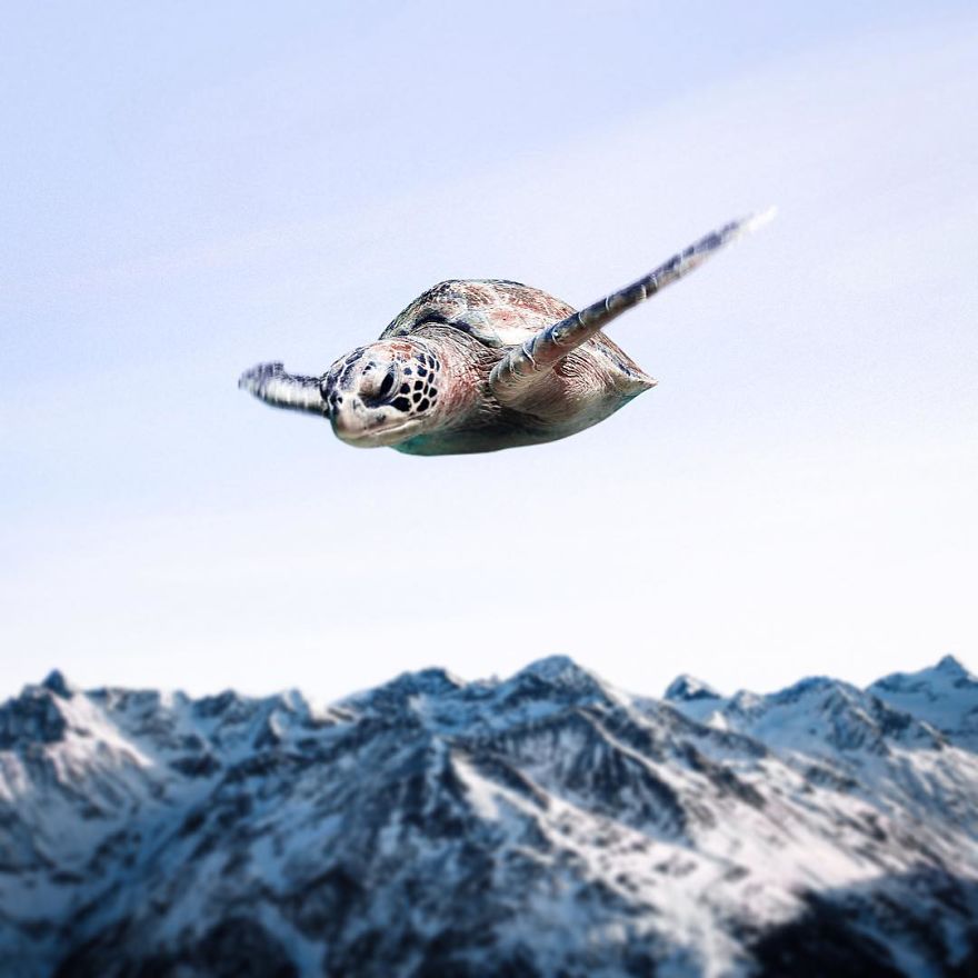 If Photoshop Had Its Own Sense Of Humour, This Is What It Would Create If Photoshop Had Its Own Sense Of Humour, This Is What It Would Create