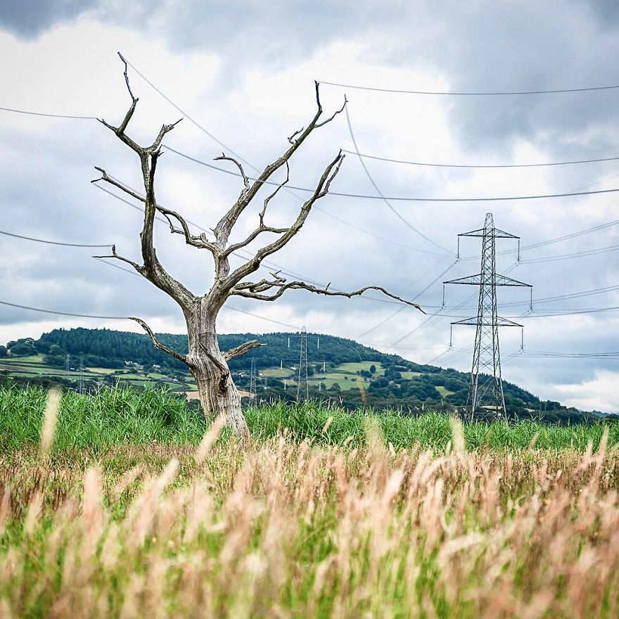 If Photoshop Had Its Own Sense Of Humour, This Is What It Would Create If Photoshop Had Its Own Sense Of Humour, This Is What It Would Create