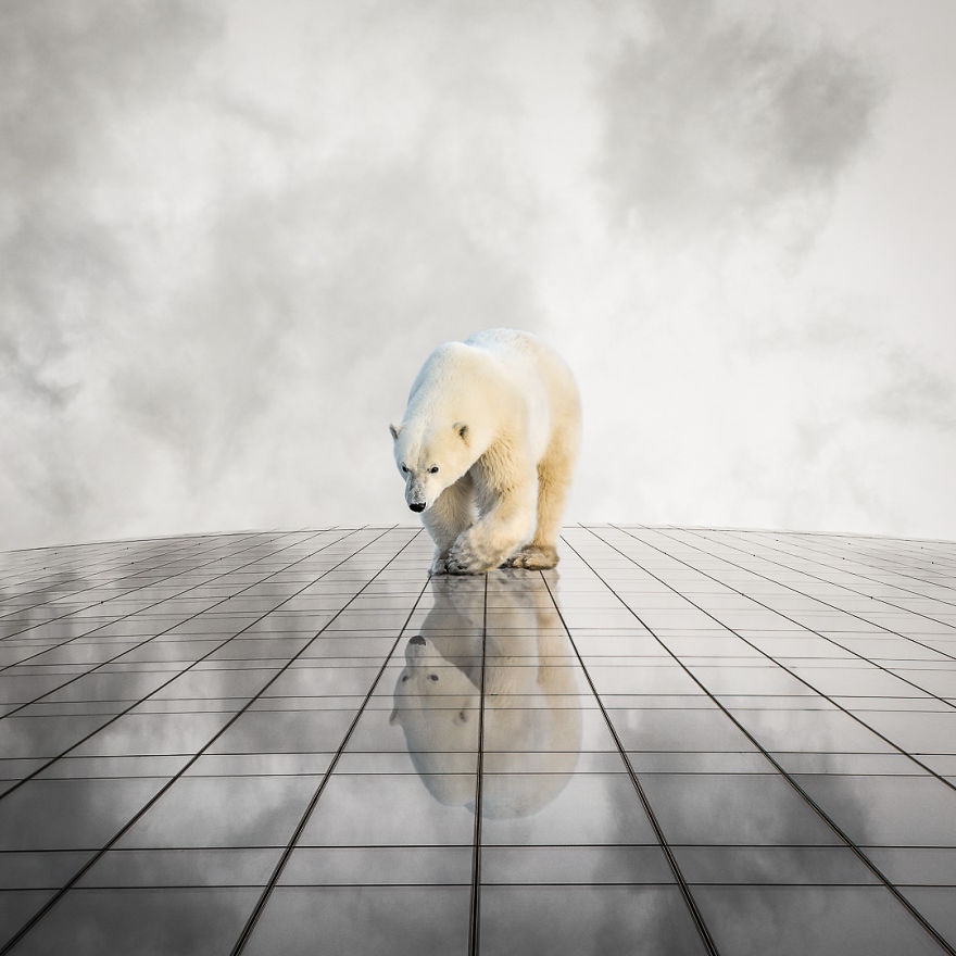 If Photoshop Had Its Own Sense Of Humour, This Is What It Would Create If Photoshop Had Its Own Sense Of Humour, This Is What It Would Create