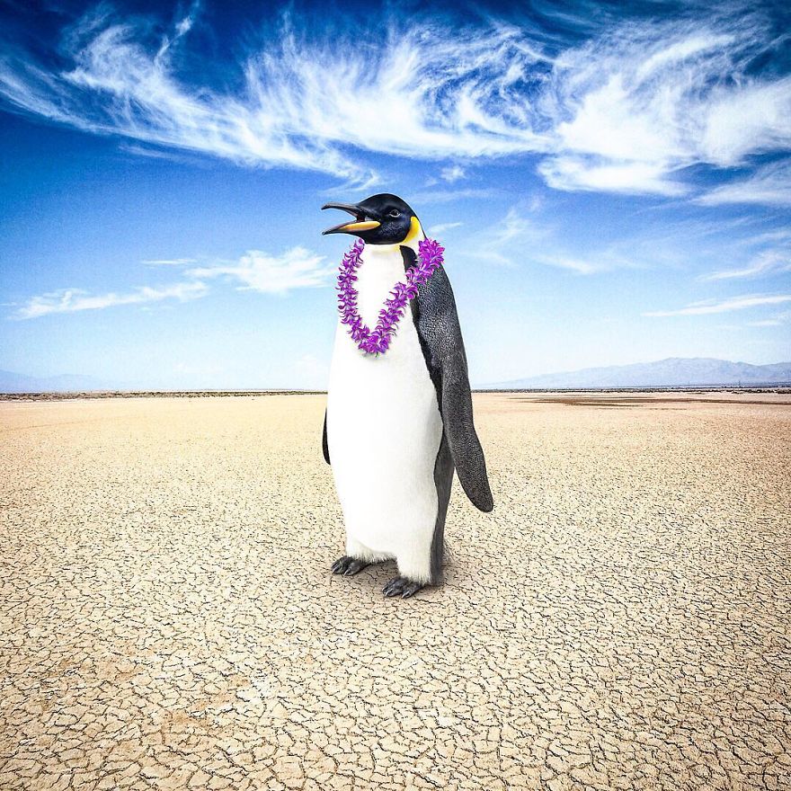 If Photoshop Had Its Own Sense Of Humour, This Is What It Would Create If Photoshop Had Its Own Sense Of Humour, This Is What It Would Create