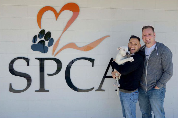 Dog Left To Die For Being Different Finally Finds Couple Who Loves Him For Who He Is