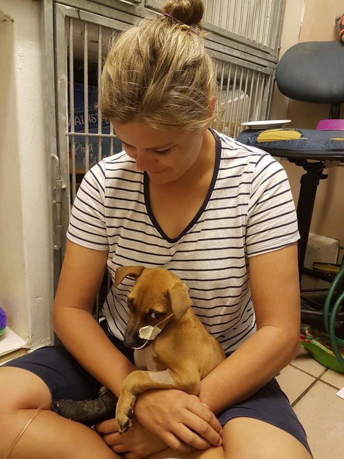 This 13-Year-Old Boy Walked 2 Miles Just To Save A Dying Puppy This 13-Year-Old Boy Walked 2 Miles Just To Save A Dying Puppy