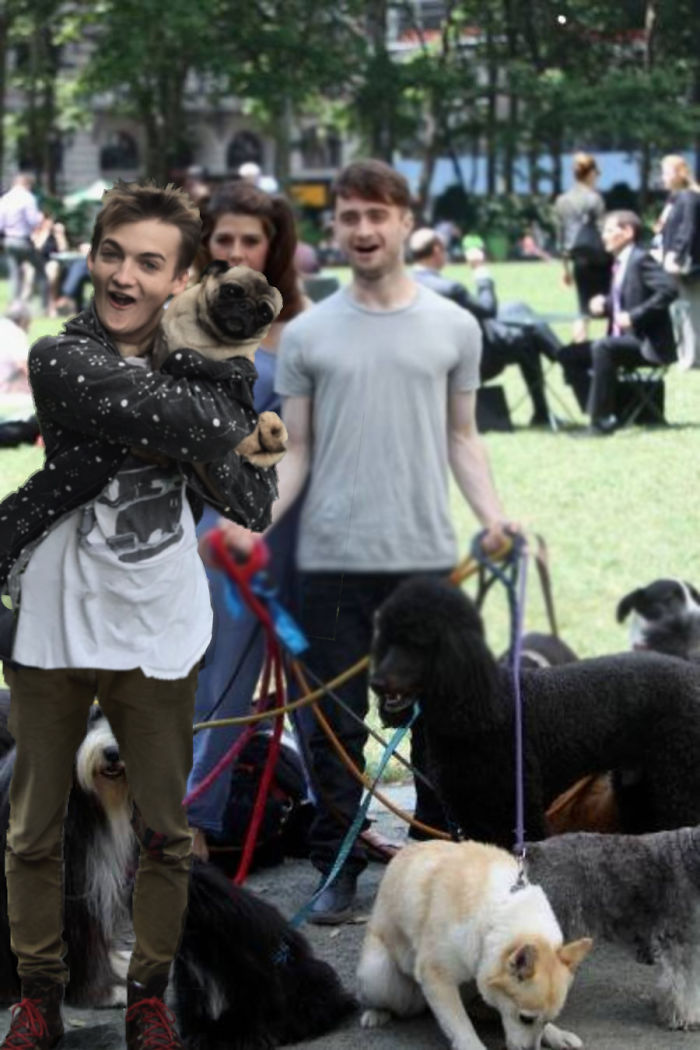 King Joffrey Hugs A Pug, And Sparks A Brutal Photoshop Battle King Joffrey Hugs A Pug, And Sparks A Brutal Photoshop Battle