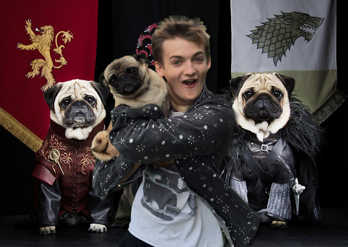 King Joffrey Hugs A Pug, And Sparks A Brutal Photoshop Battle King Joffrey Hugs A Pug, And Sparks A Brutal Photoshop Battle
