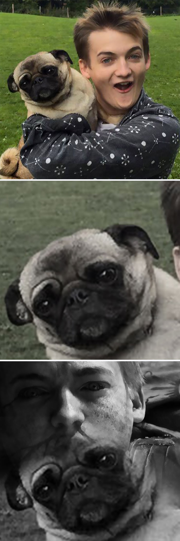 King Joffrey Hugs A Pug, And Sparks A Brutal Photoshop Battle King Joffrey Hugs A Pug, And Sparks A Brutal Photoshop Battle