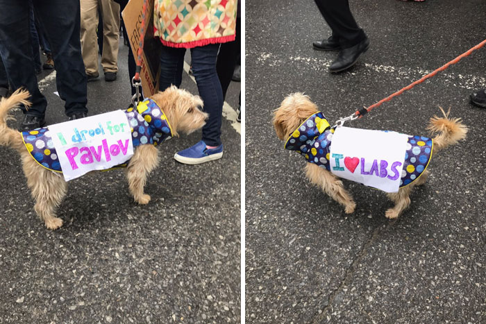 131 Of The Best Signs From The March For Science Shows What Happens When You Piss Of The Scientists 131 Of The Best Signs From The March For Science Shows What Happens When You Piss Of The Scientists