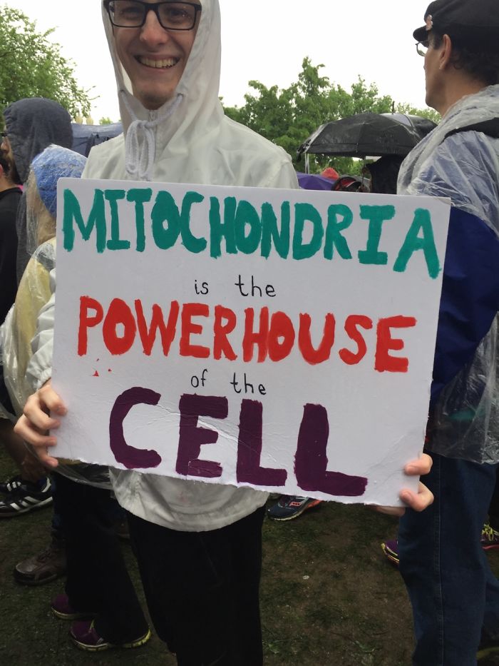 131 Of The Best Signs From The March For Science Shows What Happens When You Piss Of The Scientists 131 Of The Best Signs From The March For Science Shows What Happens When You Piss Of The Scientists