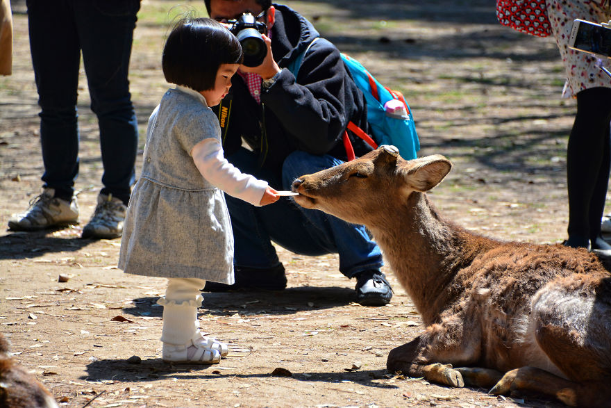 I Spent Two Weeks In Japan And I Fell In Love With This Country Where Past And Future Collide I Spent Two Weeks In Japan And I Fell In Love With This Country Where Past And Future Collide