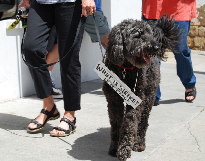 52 Dogs Who Marched For Science, And Totally Saved The World 52 Dogs Who Marched For Science, And Totally Saved The World
