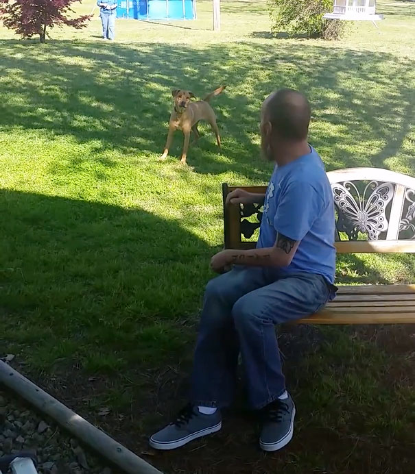 After This Man Lost 50 Pounds, His Dog Didn&#8217;t Recognize Him