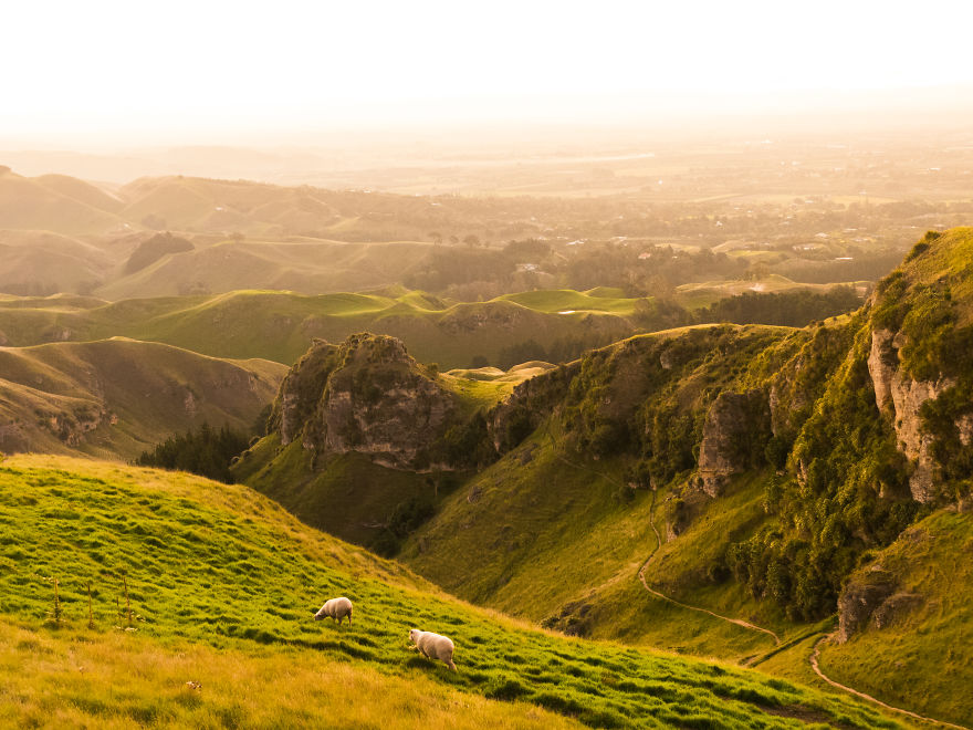 I Just Drove 8,000km Around New Zealand And Realized This Country Can’t Be Real I Just Drove 8,000km Around New Zealand And Realized This Country Can’t Be Real