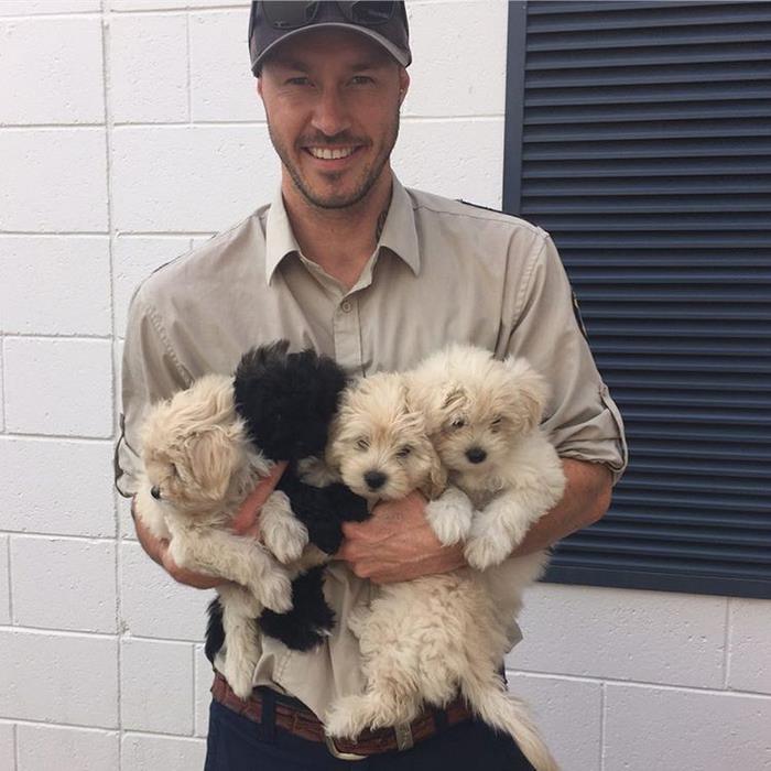 This “Crazy Dog Lady Man” Is On A Mission To Rescue Every Dog In The World This “Crazy Dog Lady Man” Is On A Mission To Rescue Every Dog In The World