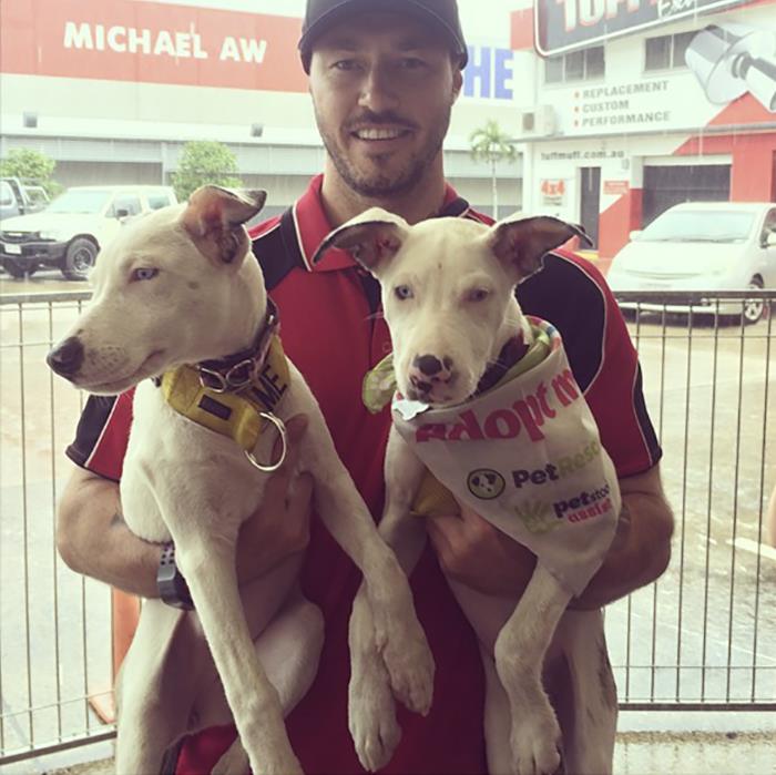 This “Crazy Dog Lady Man” Is On A Mission To Rescue Every Dog In The World This “Crazy Dog Lady Man” Is On A Mission To Rescue Every Dog In The World