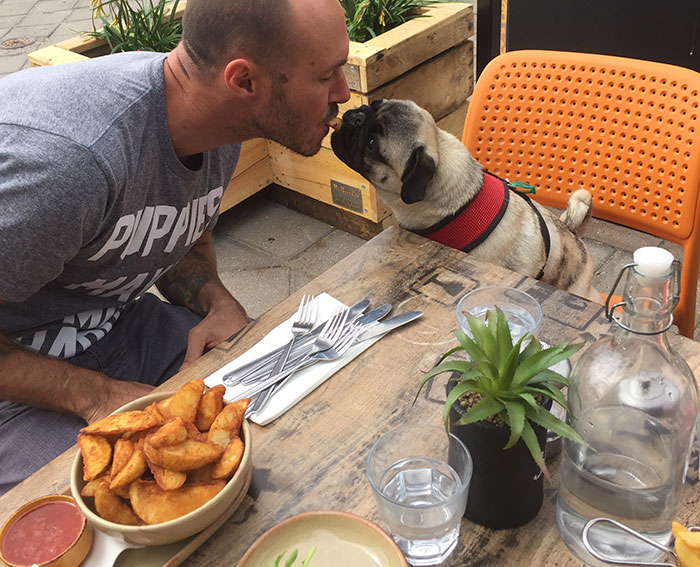 This “Crazy Dog Lady Man” Is On A Mission To Rescue Every Dog In The World This “Crazy Dog Lady Man” Is On A Mission To Rescue Every Dog In The World