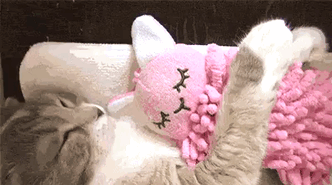 These 201 Pictures Of Adorable Pets Sleeping With Toys Will Be Too Much Cuteness For You To Take These 201 Pictures Of Adorable Pets Sleeping With Toys Will Be Too Much Cuteness For You To Take