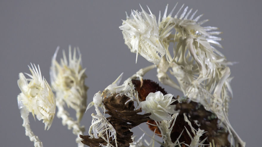 Intricate Mythically Inspired Creatures Constructed From Assorted Animal Bones Intricate Mythically Inspired Creatures Constructed From Assorted Animal Bones