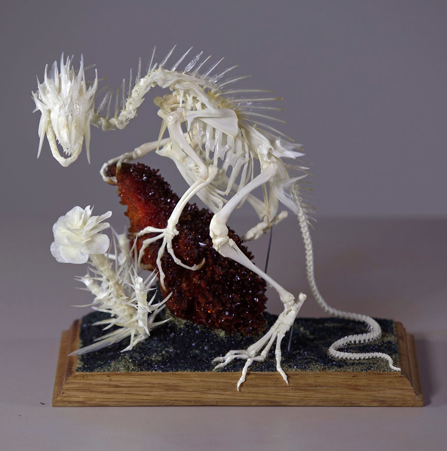 Intricate Mythically Inspired Creatures Constructed From Assorted Animal Bones Intricate Mythically Inspired Creatures Constructed From Assorted Animal Bones