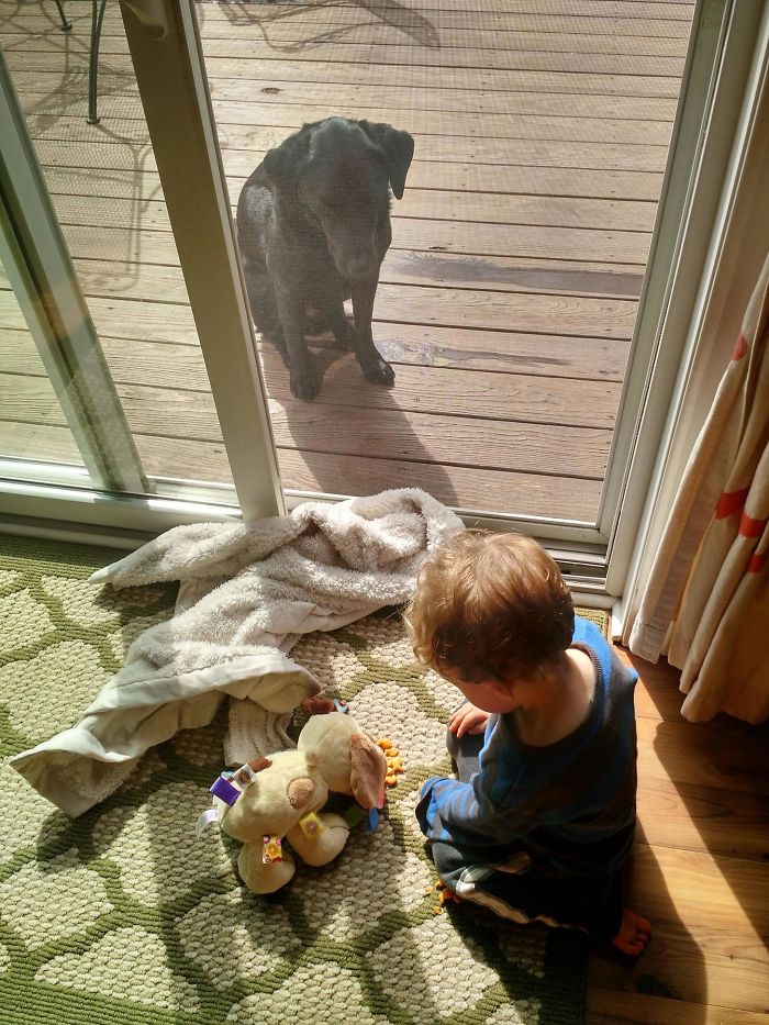 147 Reasons Why You Shouldn&#8217;t Leave Your Pets With Kids