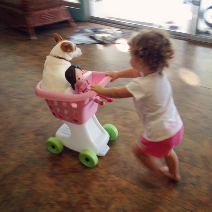 147 Reasons Why You Shouldn&#8217;t Leave Your Pets With Kids