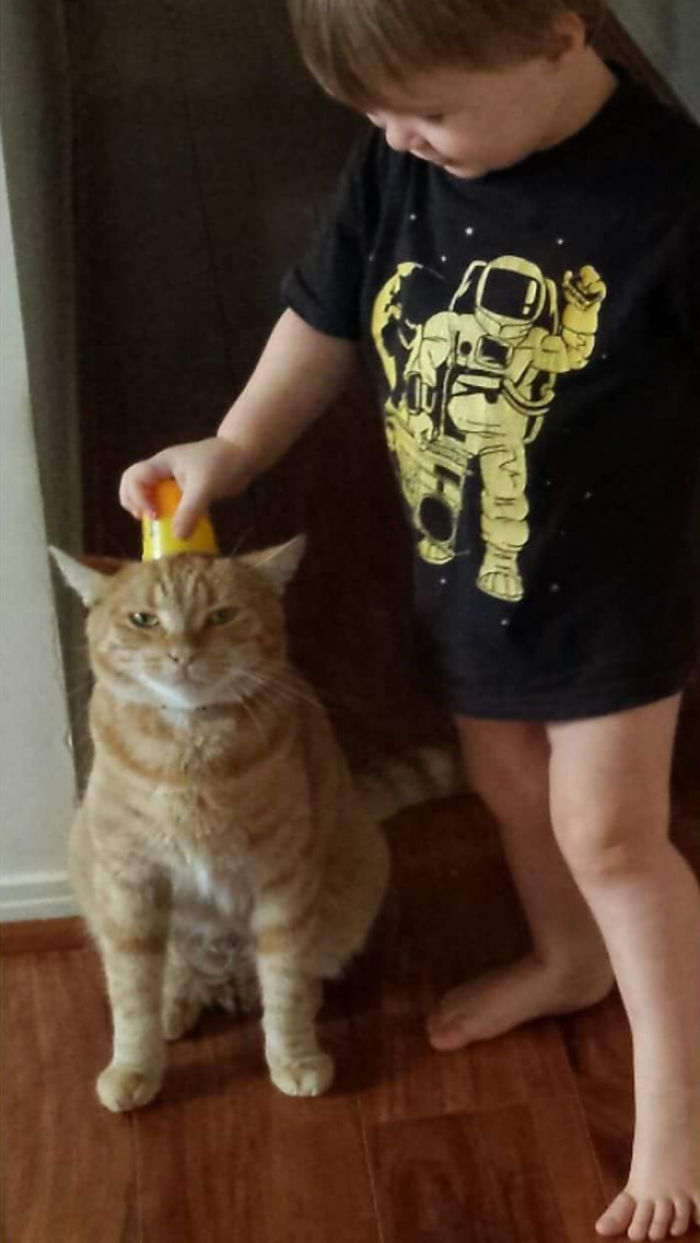 147 Reasons Why You Shouldn&#8217;t Leave Your Pets With Kids