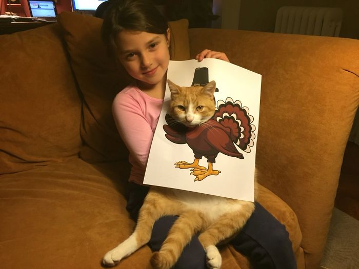 147 Reasons Why You Shouldn&#8217;t Leave Your Pets With Kids