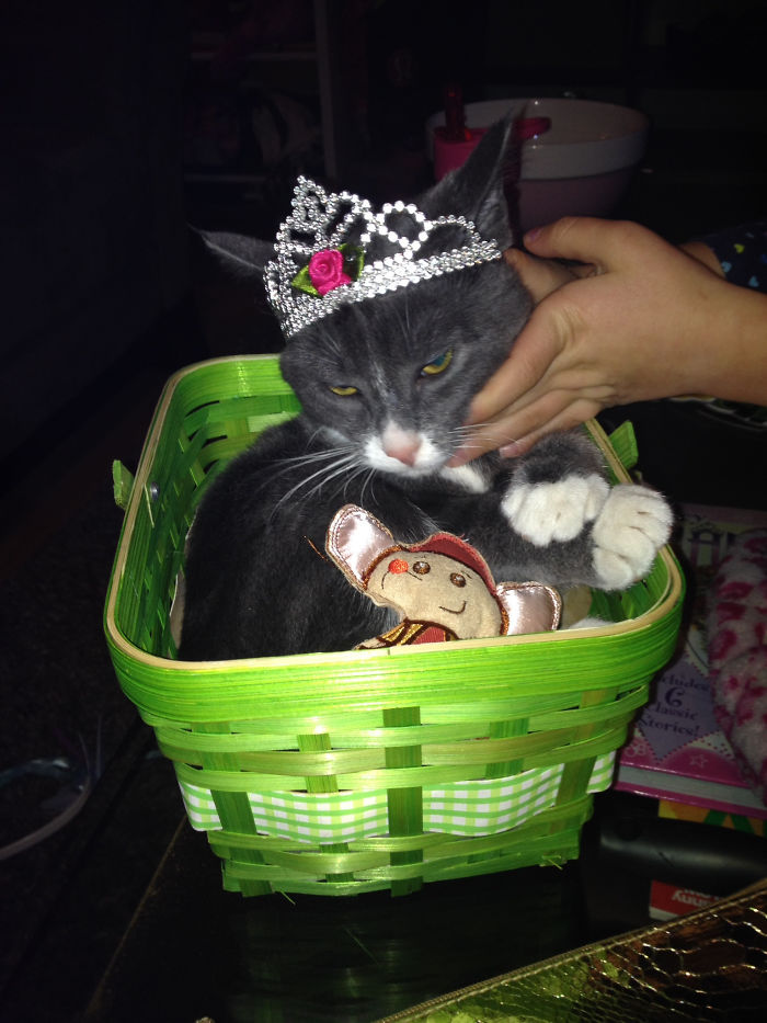 147 Reasons Why You Shouldn&#8217;t Leave Your Pets With Kids