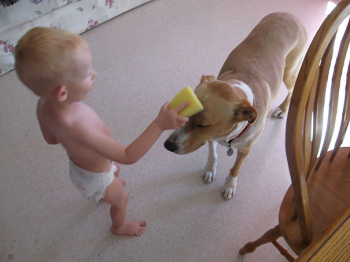 147 Reasons Why You Shouldn&#8217;t Leave Your Pets With Kids