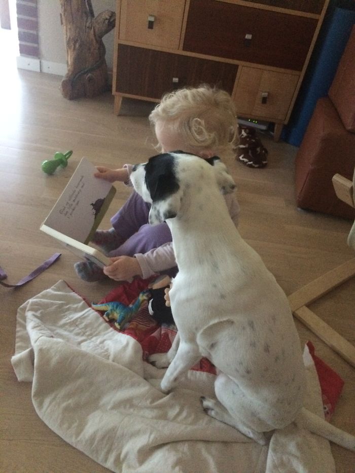 147 Reasons Why You Shouldn&#8217;t Leave Your Pets With Kids