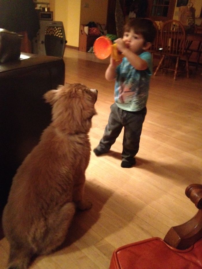 147 Reasons Why You Shouldn&#8217;t Leave Your Pets With Kids