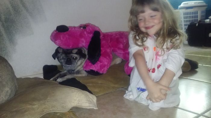 147 Reasons Why You Shouldn&#8217;t Leave Your Pets With Kids