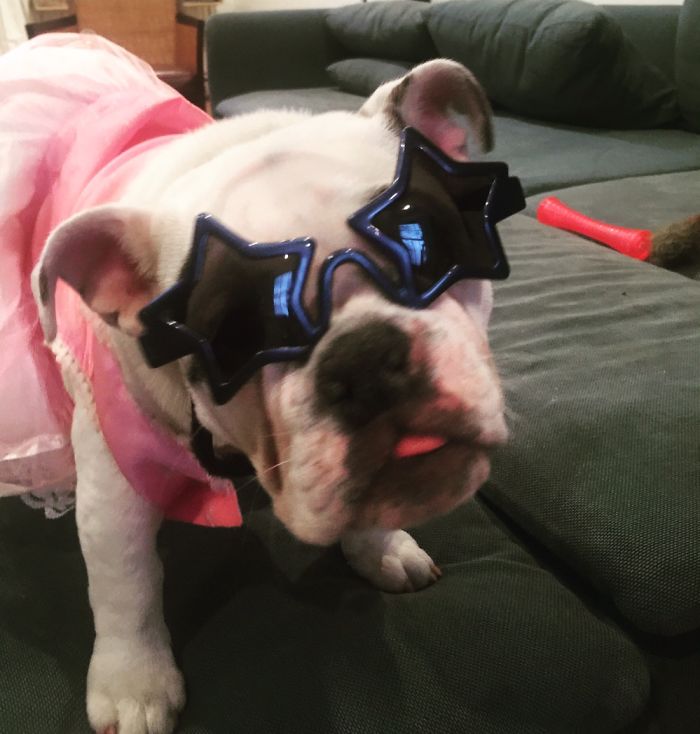 147 Reasons Why You Shouldn&#8217;t Leave Your Pets With Kids