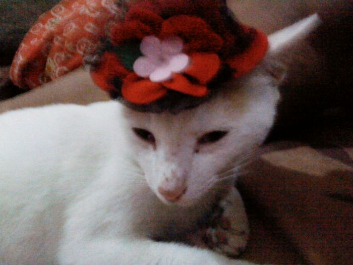 147 Reasons Why You Shouldn&#8217;t Leave Your Pets With Kids