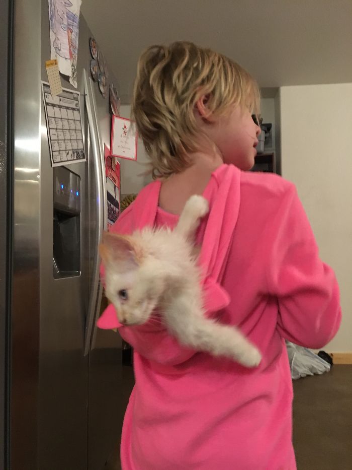 147 Reasons Why You Shouldn&#8217;t Leave Your Pets With Kids