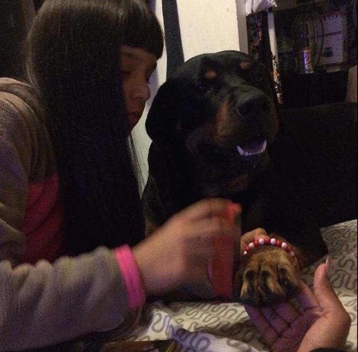 147 Reasons Why You Shouldn&#8217;t Leave Your Pets With Kids