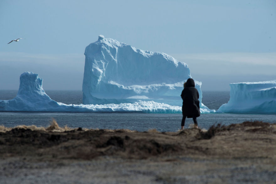 GIANT 150ft Iceberg Is Floating Past Canada, And It’s 50ft Bigger Than The One That Sank Titanic GIANT 150ft Iceberg Is Floating Past Canada, And It’s 50ft Bigger Than The One That Sank Titanic