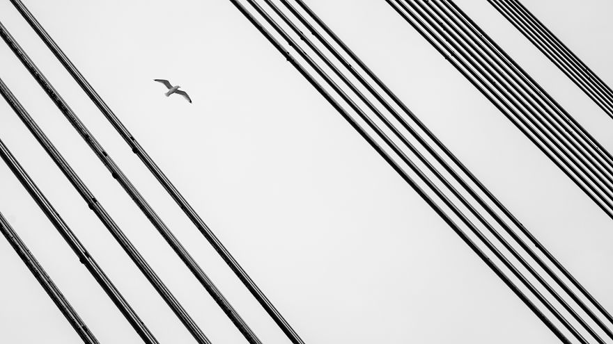 How I Started To Love My Life Through Passion How I Started To Love My Life Through Passion