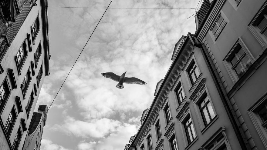 How I Started To Love My Life Through Passion How I Started To Love My Life Through Passion