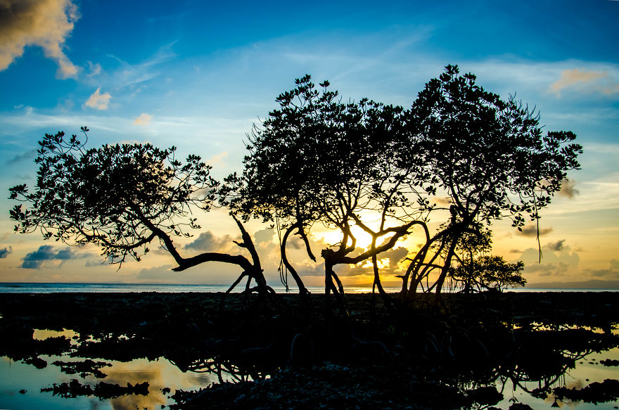 I Photographed The Beauty Of Andaman Islands I Photographed The Beauty Of Andaman Islands