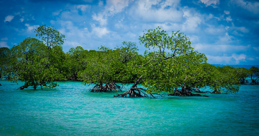 I Photographed The Beauty Of Andaman Islands I Photographed The Beauty Of Andaman Islands