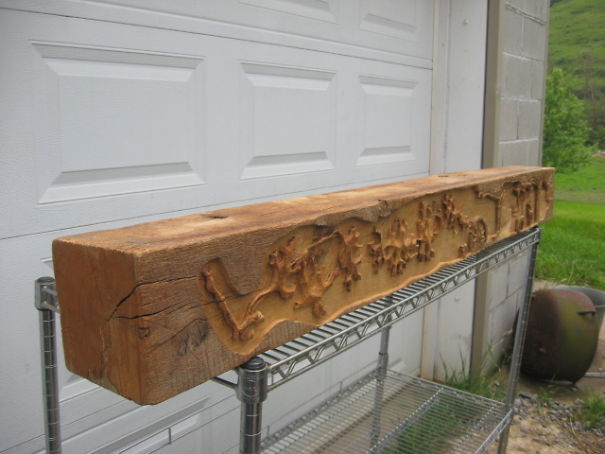 Poplar Tree Designs Poplar Tree Designs