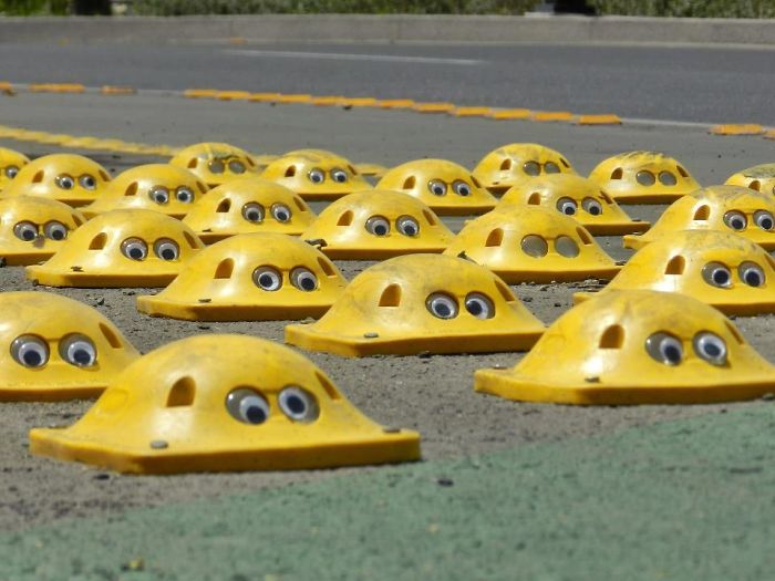 50 Funny Pics That Prove Googly Eyes Make EVERYTHING Look Better