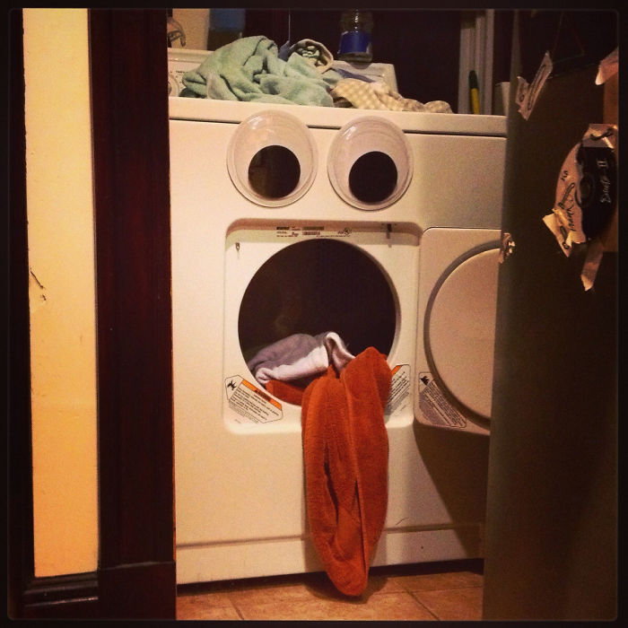50 Funny Pics That Prove Googly Eyes Make EVERYTHING Look Better