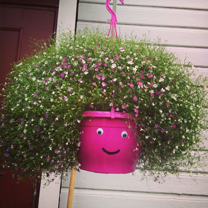 50 Funny Pics That Prove Googly Eyes Make EVERYTHING Look Better