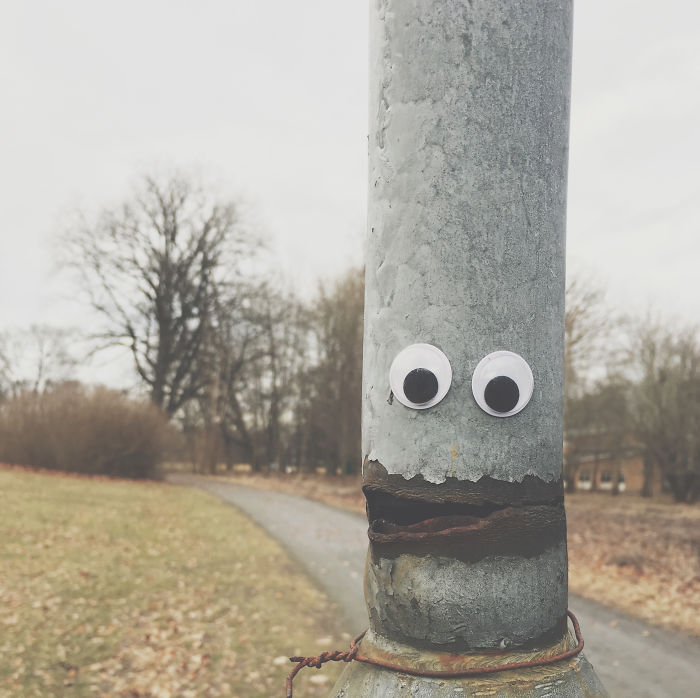 50 Funny Pics That Prove Googly Eyes Make EVERYTHING Look Better